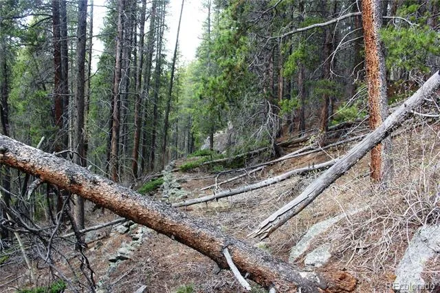 01 Broomfeild Gulch Road Black Hawk, CO 80422