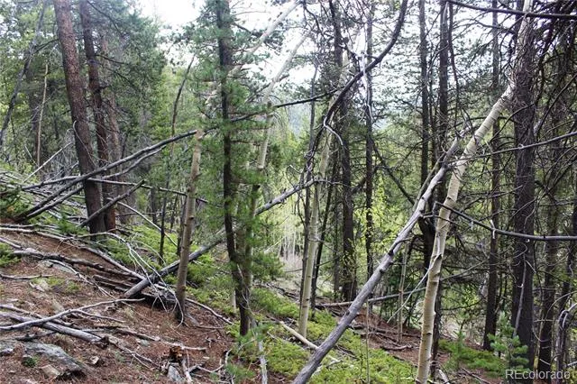 01 Broomfeild Gulch Road Black Hawk, CO 80422