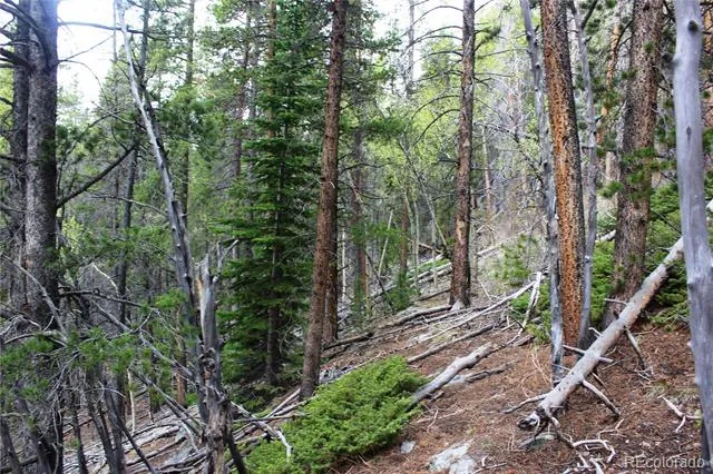 01 Broomfeild Gulch Road Black Hawk, CO 80422