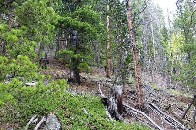 01 Broomfeild Gulch Road Black Hawk, CO 80422