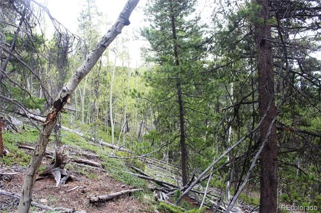 01 Broomfeild Gulch Road Black Hawk, CO 80422
