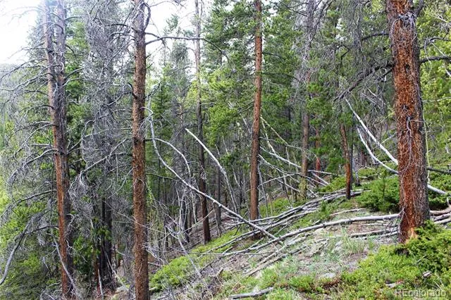 01 Broomfeild Gulch Road Black Hawk, CO 80422