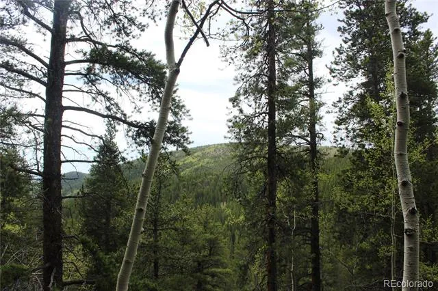 01 Broomfeild Gulch Road Black Hawk, CO 80422