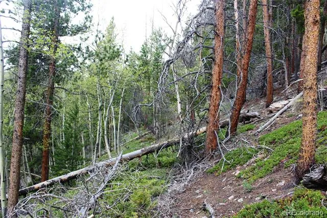01 Broomfeild Gulch Road Black Hawk, CO 80422