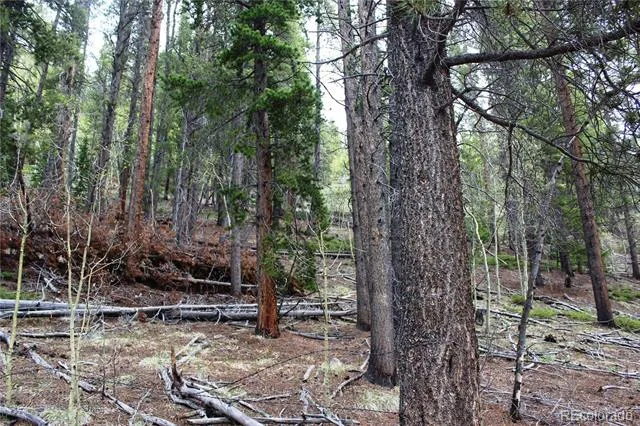 01 Broomfeild Gulch Road Black Hawk, CO 80422