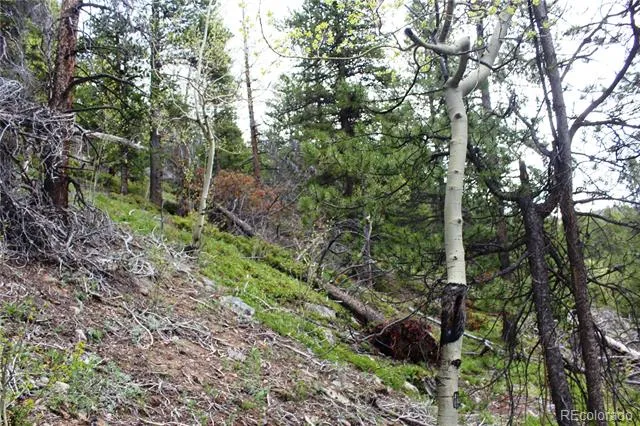 01 Broomfeild Gulch Road Black Hawk, CO 80422