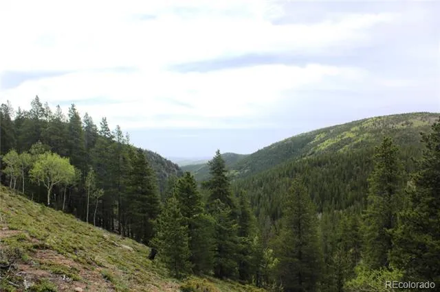 01 Broomfeild Gulch Road Black Hawk, CO 80422