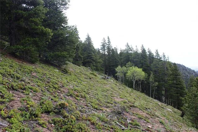 01 Broomfeild Gulch Road Black Hawk, CO 80422