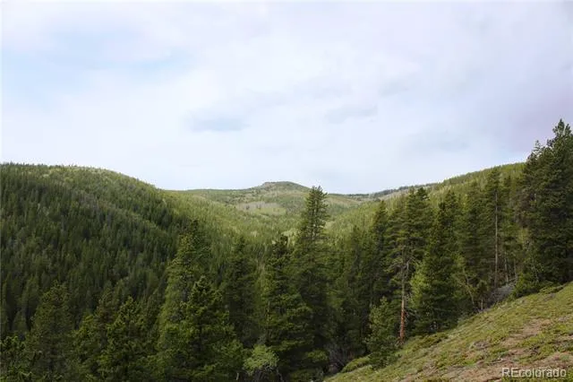 01 Broomfeild Gulch Road Black Hawk, CO 80422