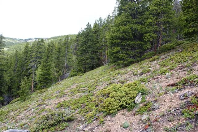 01 Broomfeild Gulch Road Black Hawk, CO 80422