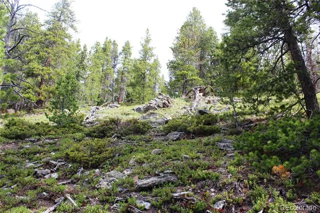 01 Broomfeild Gulch Road Black Hawk, CO 80422