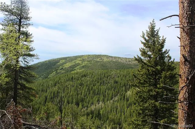 01 Broomfeild Gulch Road Black Hawk, CO 80422