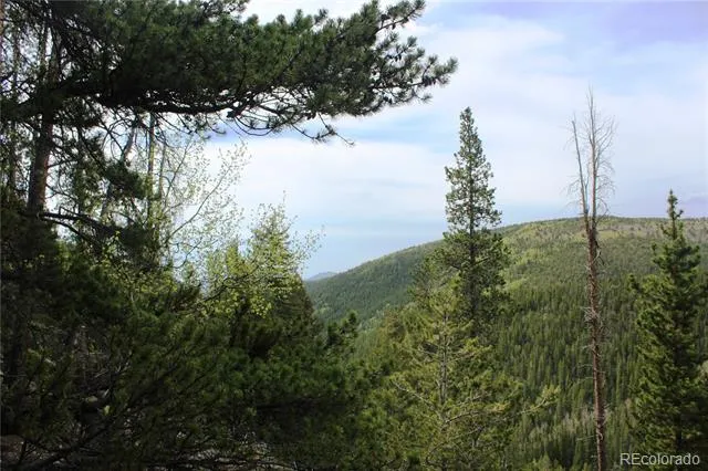 01 Broomfeild Gulch Road Black Hawk, CO 80422