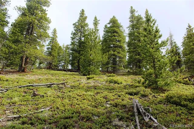 01 Broomfeild Gulch Road Black Hawk, CO 80422