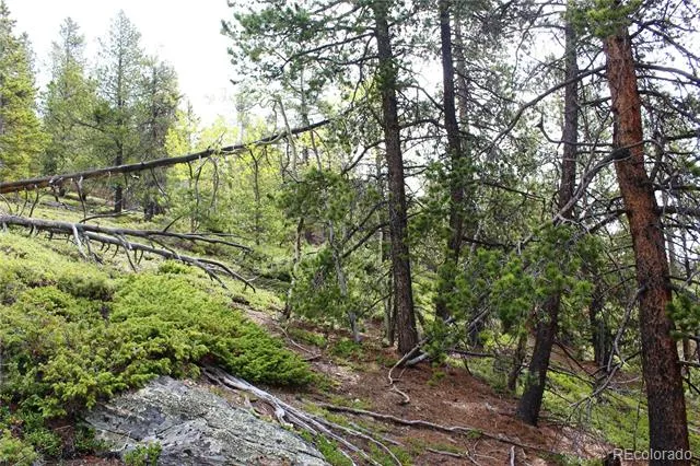 01 Broomfeild Gulch Road Black Hawk, CO 80422