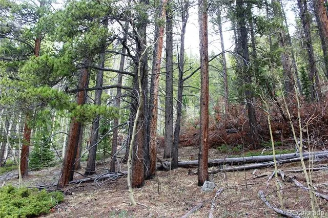 01 Broomfeild Gulch Road Black Hawk, CO 80422