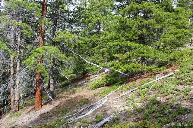 01 Broomfeild Gulch Road Black Hawk, CO 80422