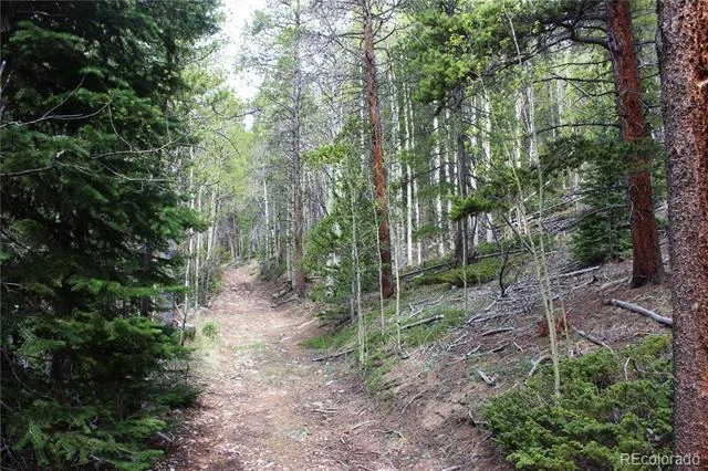 01 Broomfeild Gulch Road Black Hawk, CO 80422