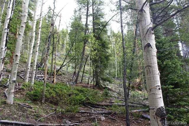 01 Broomfeild Gulch Road Black Hawk, CO 80422