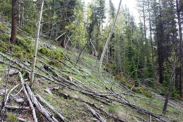 01 Broomfeild Gulch Road Black Hawk, CO 80422