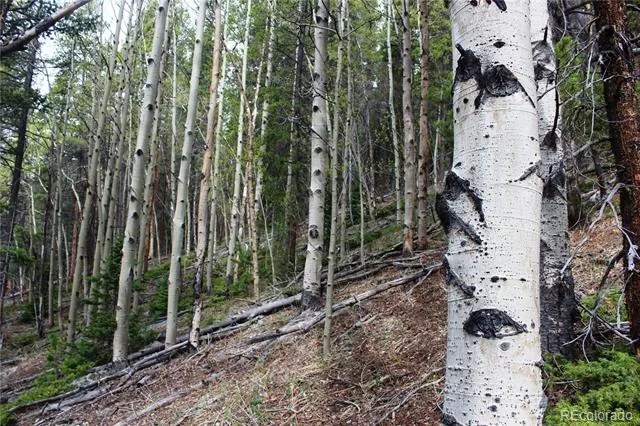 01 Broomfeild Gulch Road Black Hawk, CO 80422