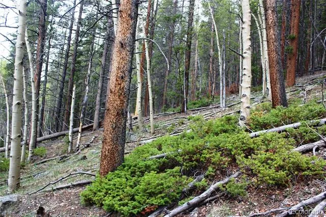 01 Broomfeild Gulch Road Black Hawk, CO 80422