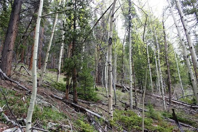 01 Broomfeild Gulch Road Black Hawk, CO 80422
