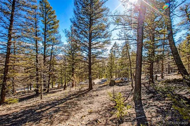 2623 Redhill Road Fairplay, CO 80440