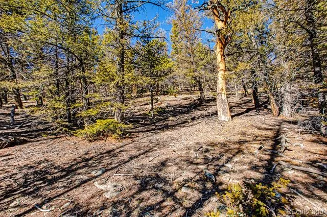 2623 Redhill Road Fairplay, CO 80440