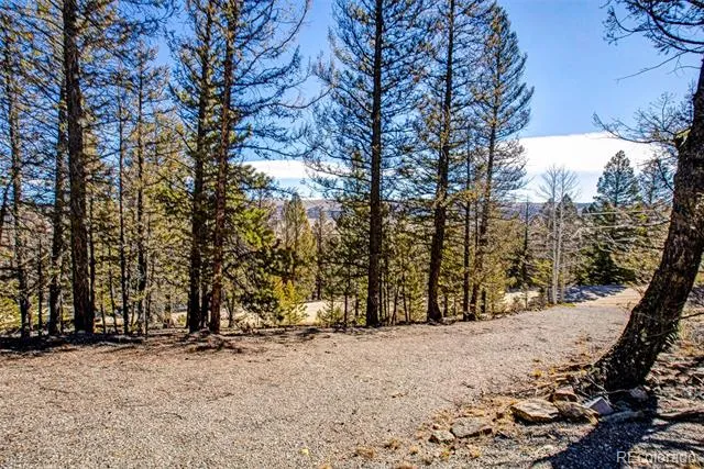 2623 Redhill Road Fairplay, CO 80440