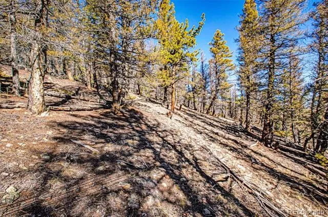 2623 Redhill Road Fairplay, CO 80440