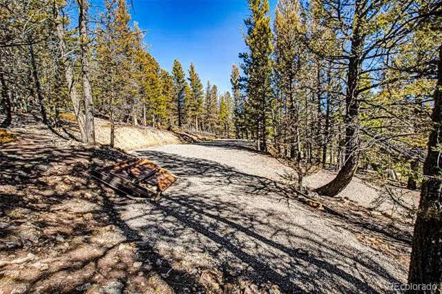 2623 Redhill Road Fairplay, CO 80440