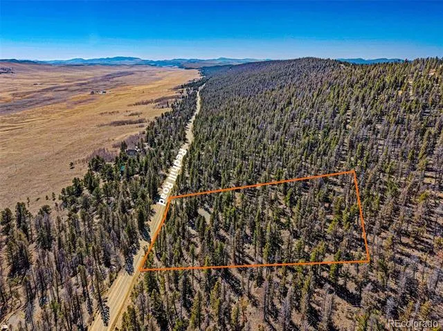 2623 Redhill Road Fairplay, CO 80440