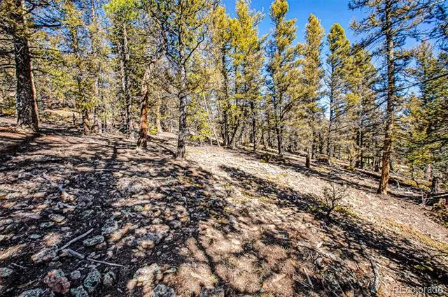 2623 Redhill Road Fairplay, CO 80440