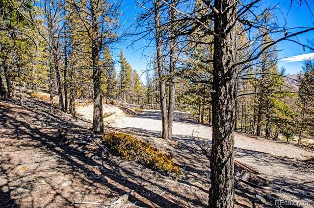 2623 Redhill Road Fairplay, CO 80440