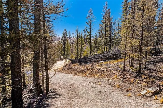 2623 Redhill Road Fairplay, CO 80440