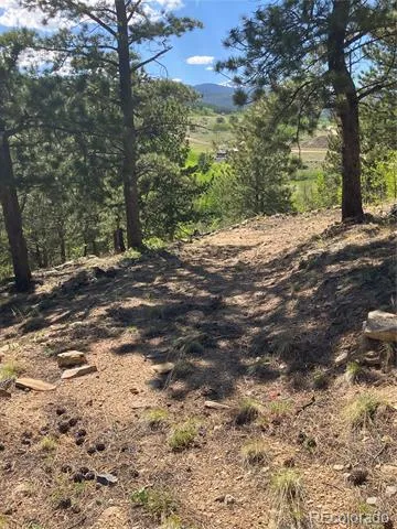 800 Eureka Street Central City, CO 80427