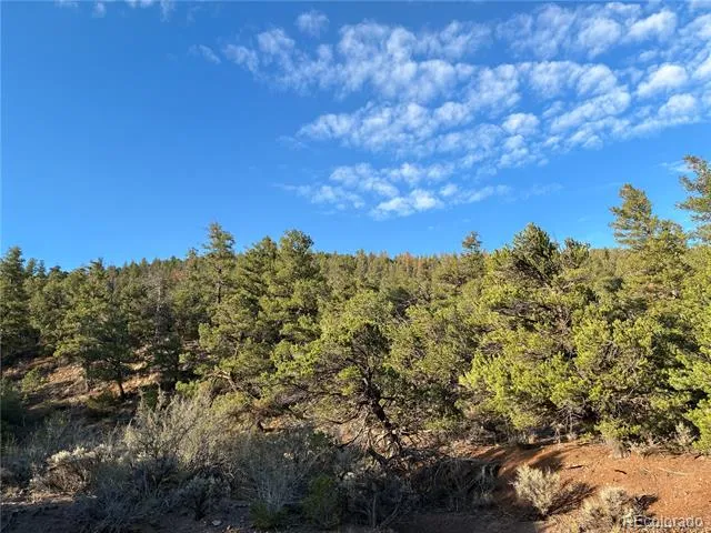 8.5 AC Adelaide Road San Luis, CO 81152