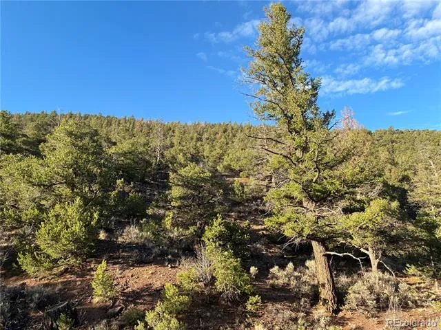 8.5 AC Adelaide Road San Luis, CO 81152