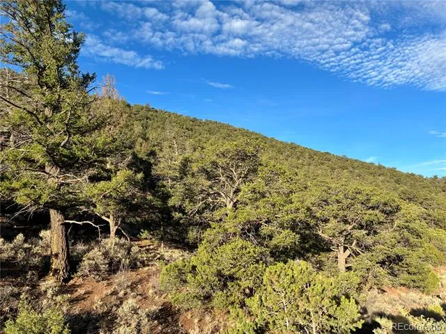 8.5 AC Adelaide Road San Luis, CO 81152