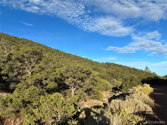8.5 AC Adelaide Road San Luis, CO 81152