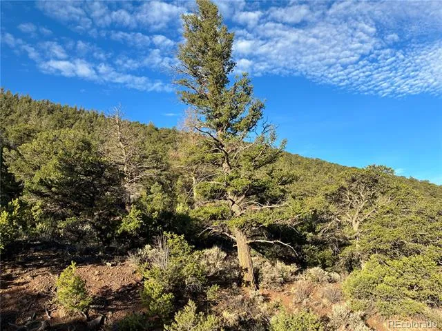 8.5 AC Adelaide Road San Luis, CO 81152