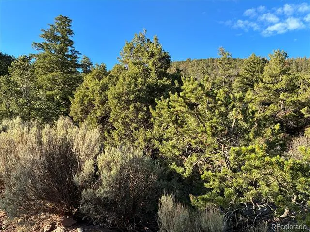 8.5 AC Adelaide Road San Luis, CO 81152
