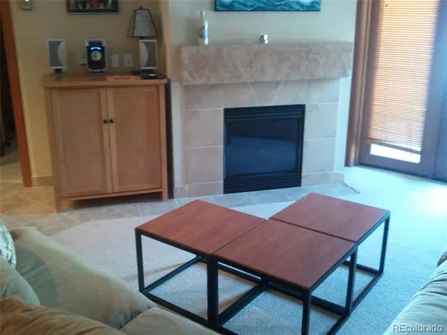 184 Copper Circle #316 Frisco, CO 80443