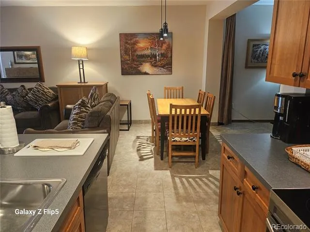 184 Copper Circle #316 Frisco, CO 80443