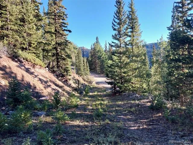 1062 Roberts Road Alma, CO 80420