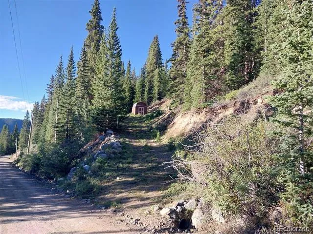 1062 Roberts Road Alma, CO 80420
