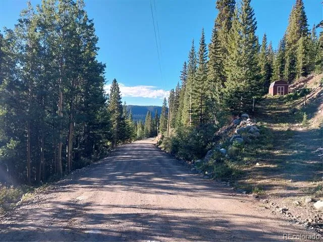 1062 Roberts Road Alma, CO 80420