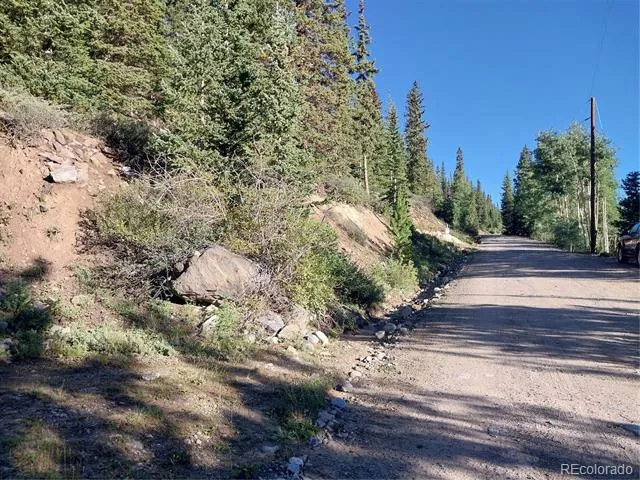 1062 Roberts Road Alma, CO 80420