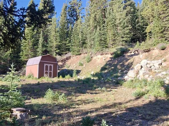 1062 Roberts Road Alma, CO 80420